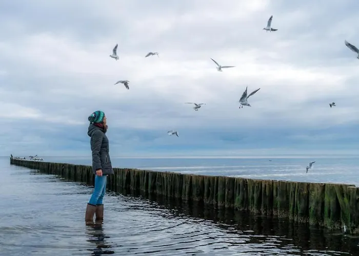 Godewind Whg Gw08 볼텐하겐